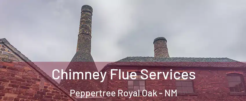 Chimney Flue Services Peppertree Royal Oak - NM