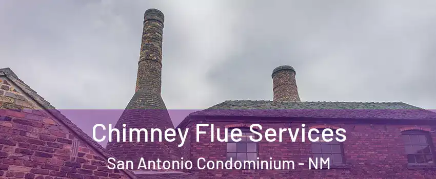 Chimney Flue Services San Antonio Condominium - NM