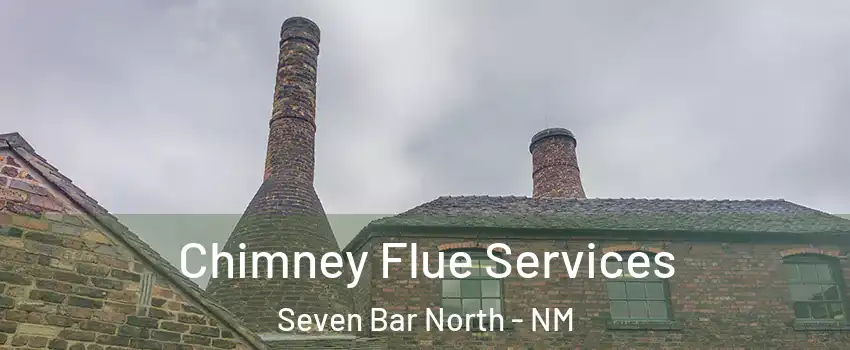 Chimney Flue Services Seven Bar North - NM