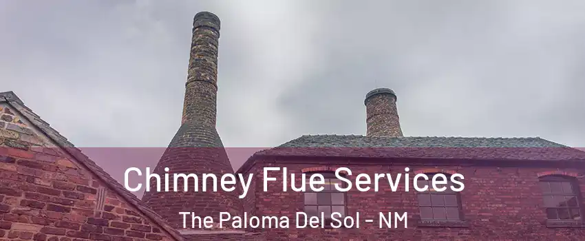 Chimney Flue Services The Paloma Del Sol - NM