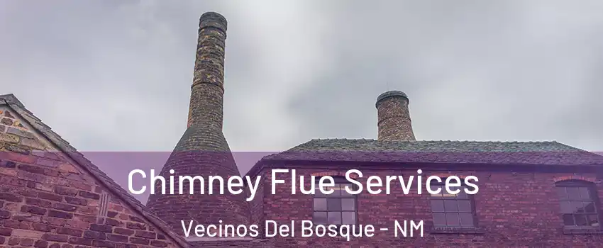 Chimney Flue Services Vecinos Del Bosque - NM