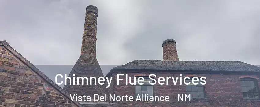 Chimney Flue Services Vista Del Norte Alliance - NM