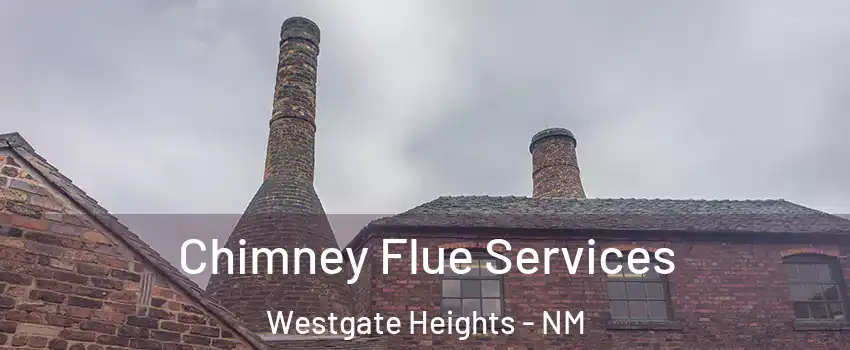 Chimney Flue Services Westgate Heights - NM