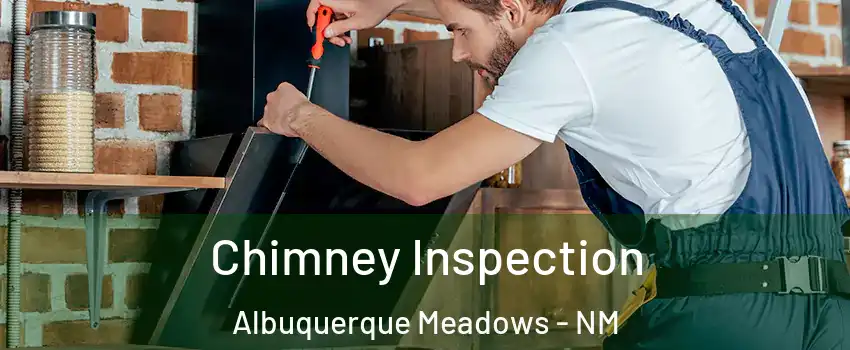 Chimney Inspection Albuquerque Meadows - NM