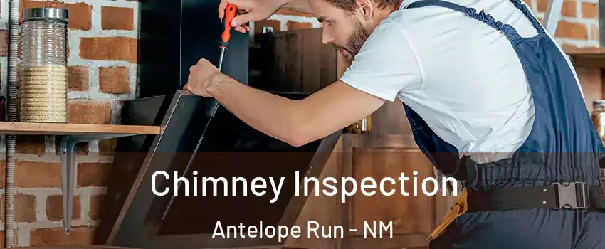 Chimney Inspection Antelope Run - NM