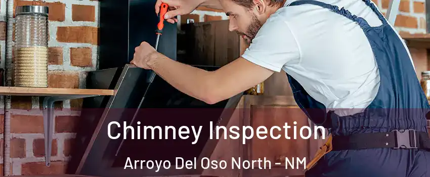 Chimney Inspection Arroyo Del Oso North - NM