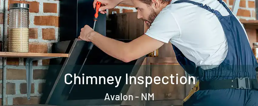 Chimney Inspection Avalon - NM