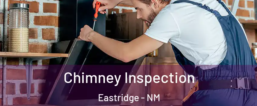 Chimney Inspection Eastridge - NM