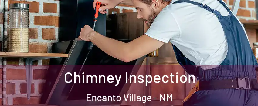 Chimney Inspection Encanto Village - NM