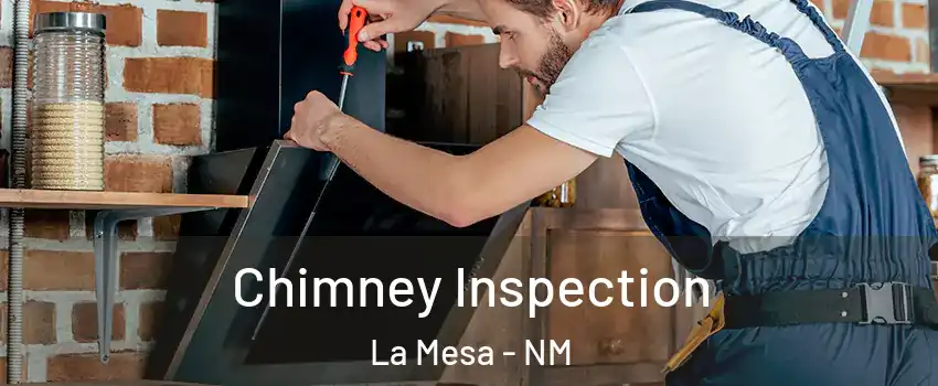 Chimney Inspection La Mesa - NM