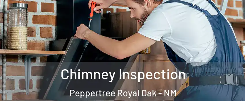 Chimney Inspection Peppertree Royal Oak - NM