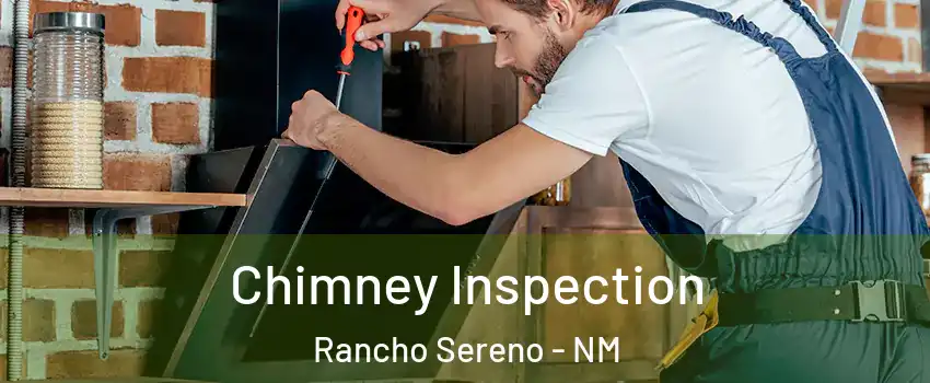 Chimney Inspection Rancho Sereno - NM