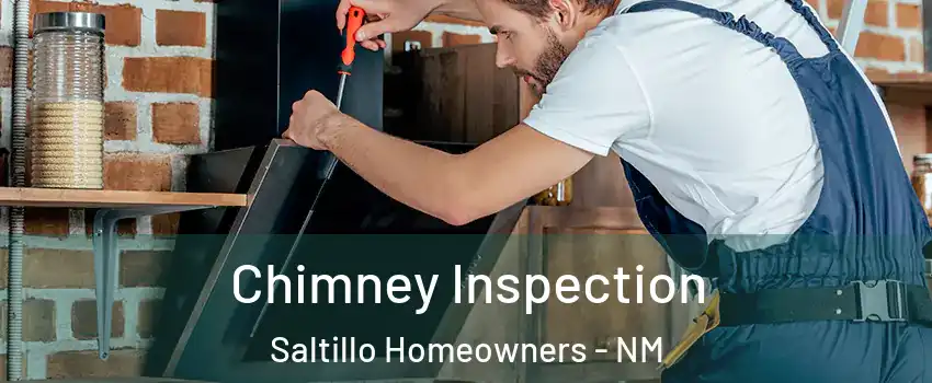 Chimney Inspection Saltillo Homeowners - NM