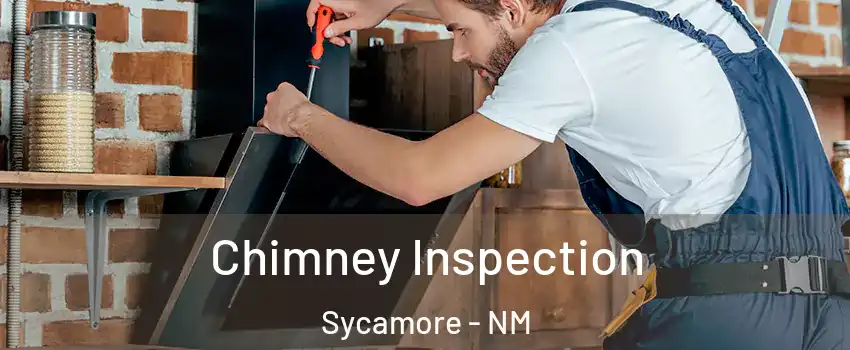 Chimney Inspection Sycamore - NM