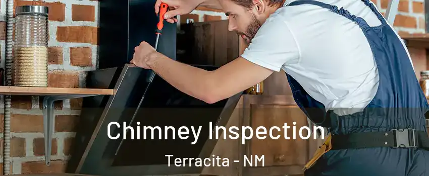 Chimney Inspection Terracita - NM