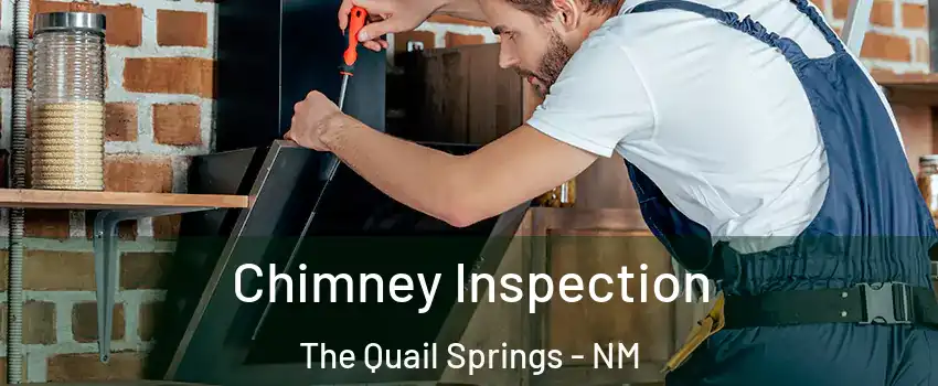 Chimney Inspection The Quail Springs - NM