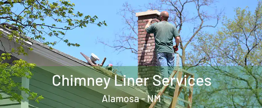 Chimney Liner Services Alamosa - NM