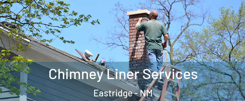 Chimney Liner Services Eastridge - NM