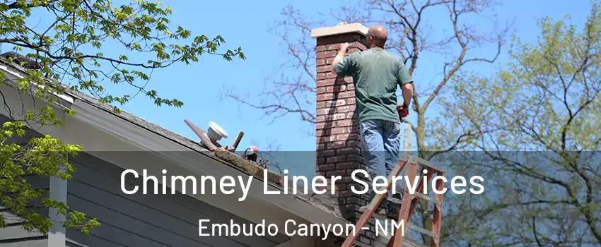 Chimney Liner Services Embudo Canyon - NM