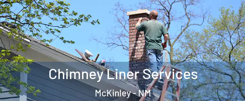 Chimney Liner Services McKinley - NM