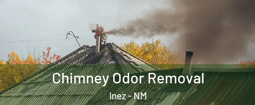 Chimney Odor Removal Inez - NM