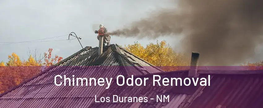 Chimney Odor Removal Los Duranes - NM