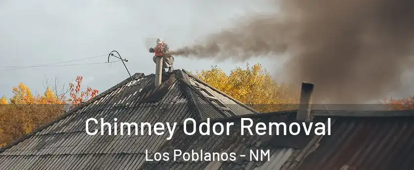 Chimney Odor Removal Los Poblanos - NM