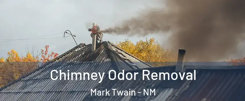 Chimney Odor Removal Mark Twain - NM