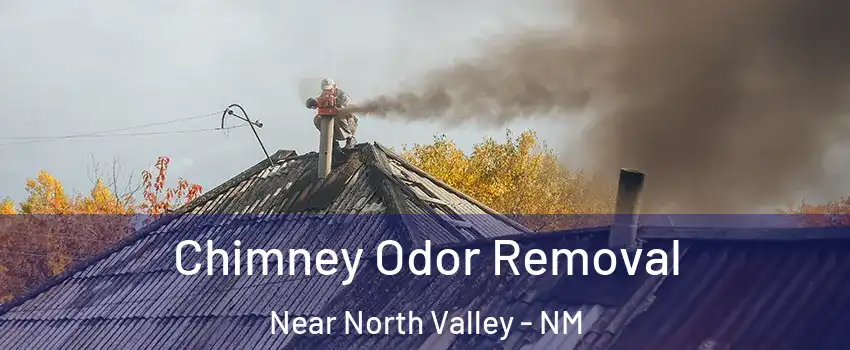 Chimney Odor Removal Near North Valley - NM