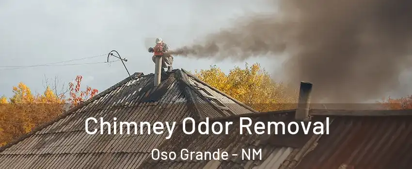 Chimney Odor Removal Oso Grande - NM