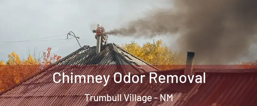 Chimney Odor Removal Trumbull Village - NM