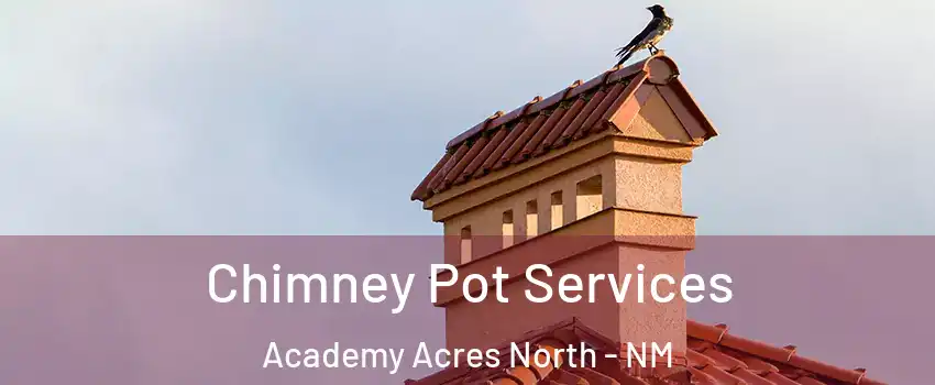 Chimney Pot Services Academy Acres North - NM