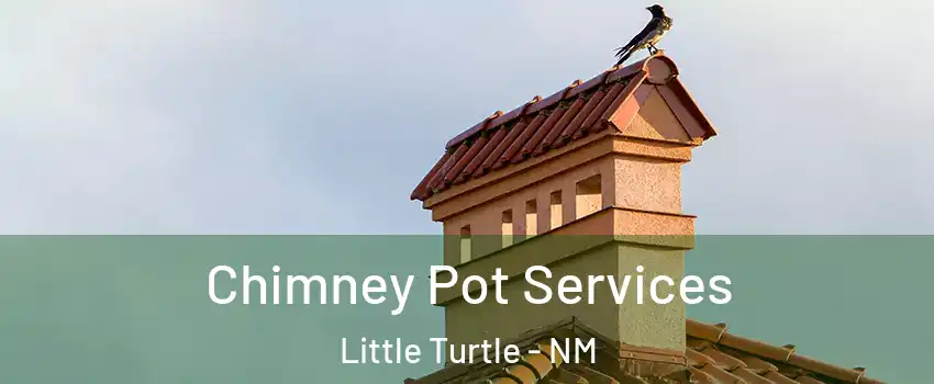 Chimney Pot Services Little Turtle - NM