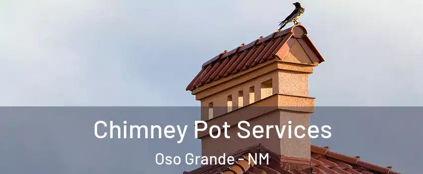 Chimney Pot Services Oso Grande - NM