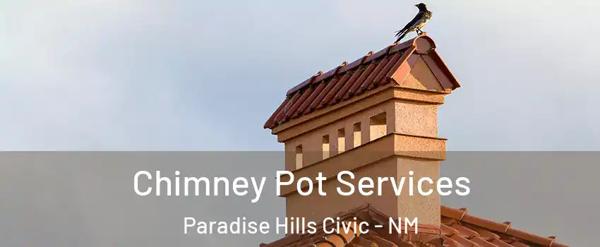 Chimney Pot Services Paradise Hills Civic - NM