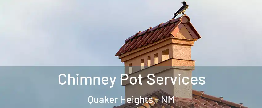 Chimney Pot Services Quaker Heights - NM