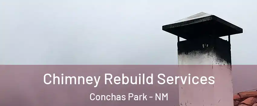 Chimney Rebuild Services Conchas Park - NM