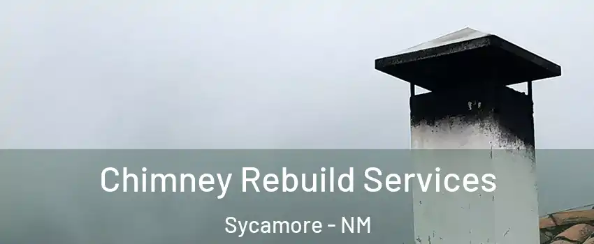 Chimney Rebuild Services Sycamore - NM