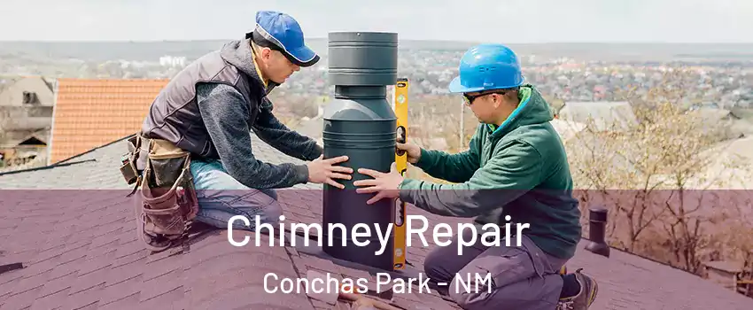 Chimney Repair Conchas Park - NM