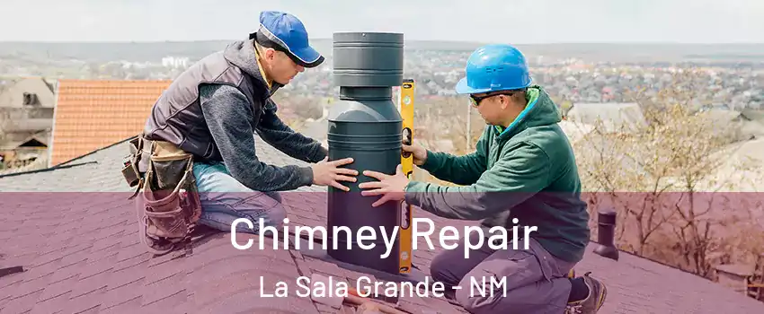 Chimney Repair La Sala Grande - NM