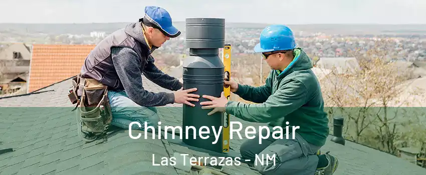 Chimney Repair Las Terrazas - NM