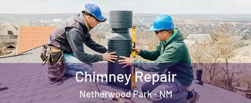 Chimney Repair Netherwood Park - NM