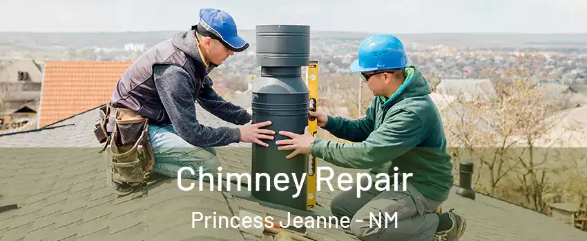 Chimney Repair Princess Jeanne - NM