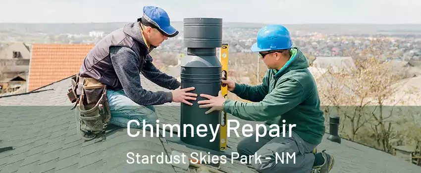 Chimney Repair Stardust Skies Park - NM