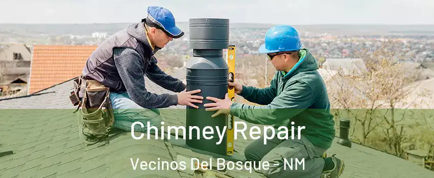 Chimney Repair Vecinos Del Bosque - NM