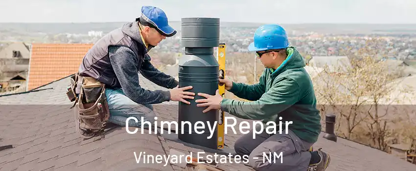 Chimney Repair Vineyard Estates - NM