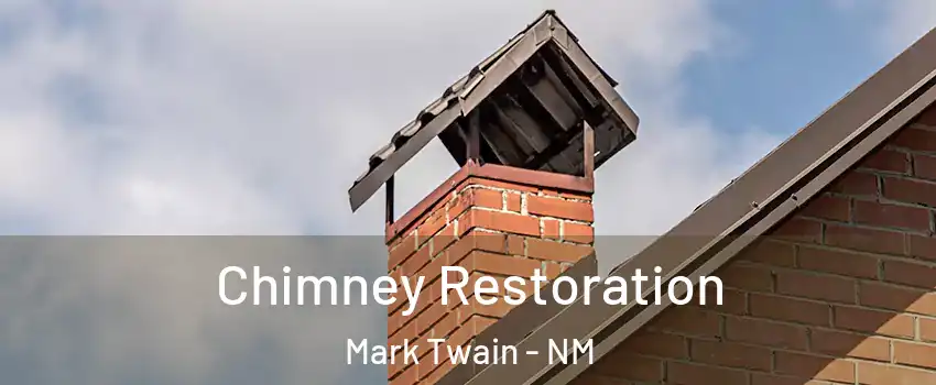 Chimney Restoration Mark Twain - NM