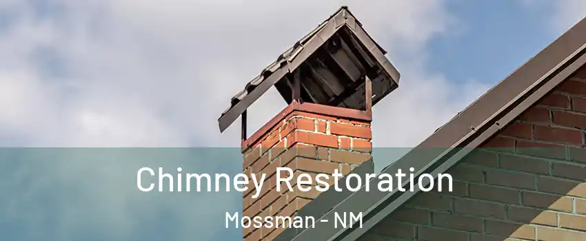 Chimney Restoration Mossman - NM