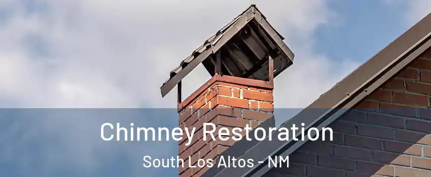 Chimney Restoration South Los Altos - NM