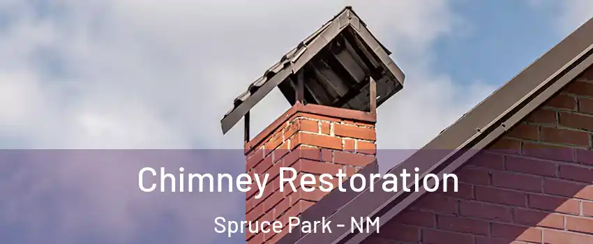 Chimney Restoration Spruce Park - NM